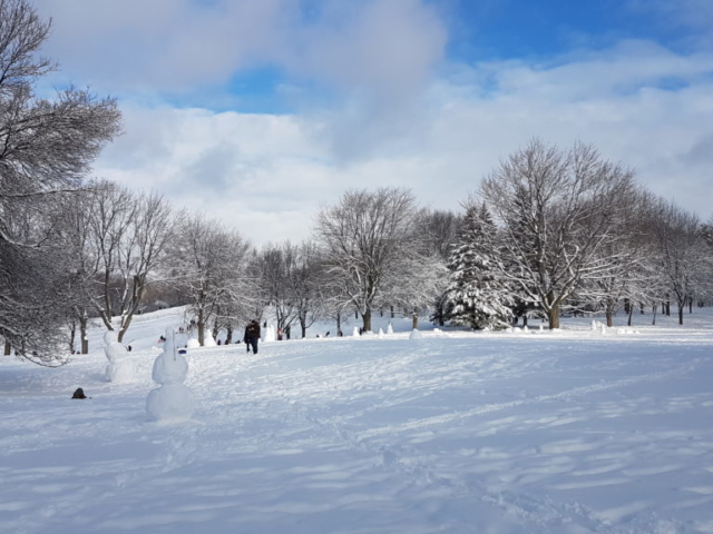 Concours de bonhommes de neige au parc du mont Royal Montréal.