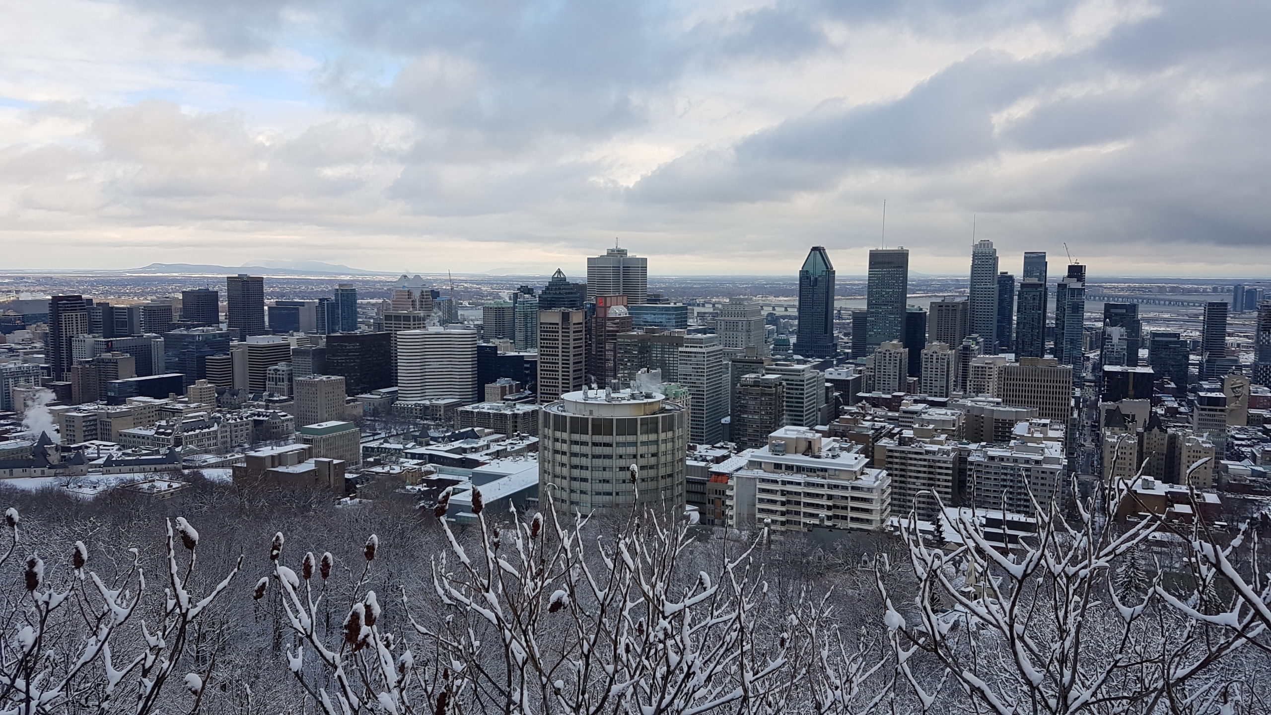 Vue depuis le belvédère du Mont Royal Montréal.