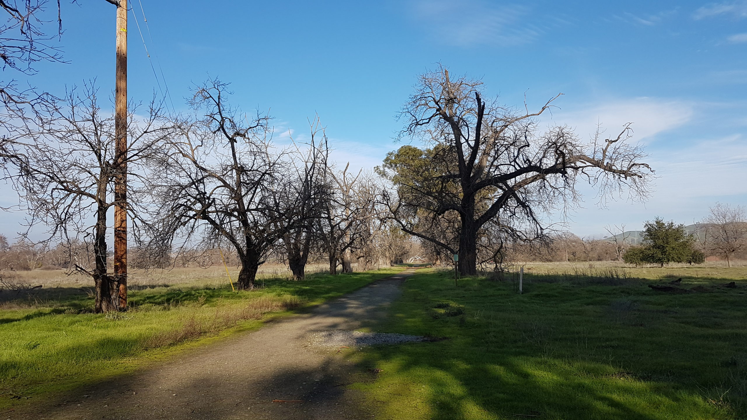 Sycamore grove park Livermore Californie