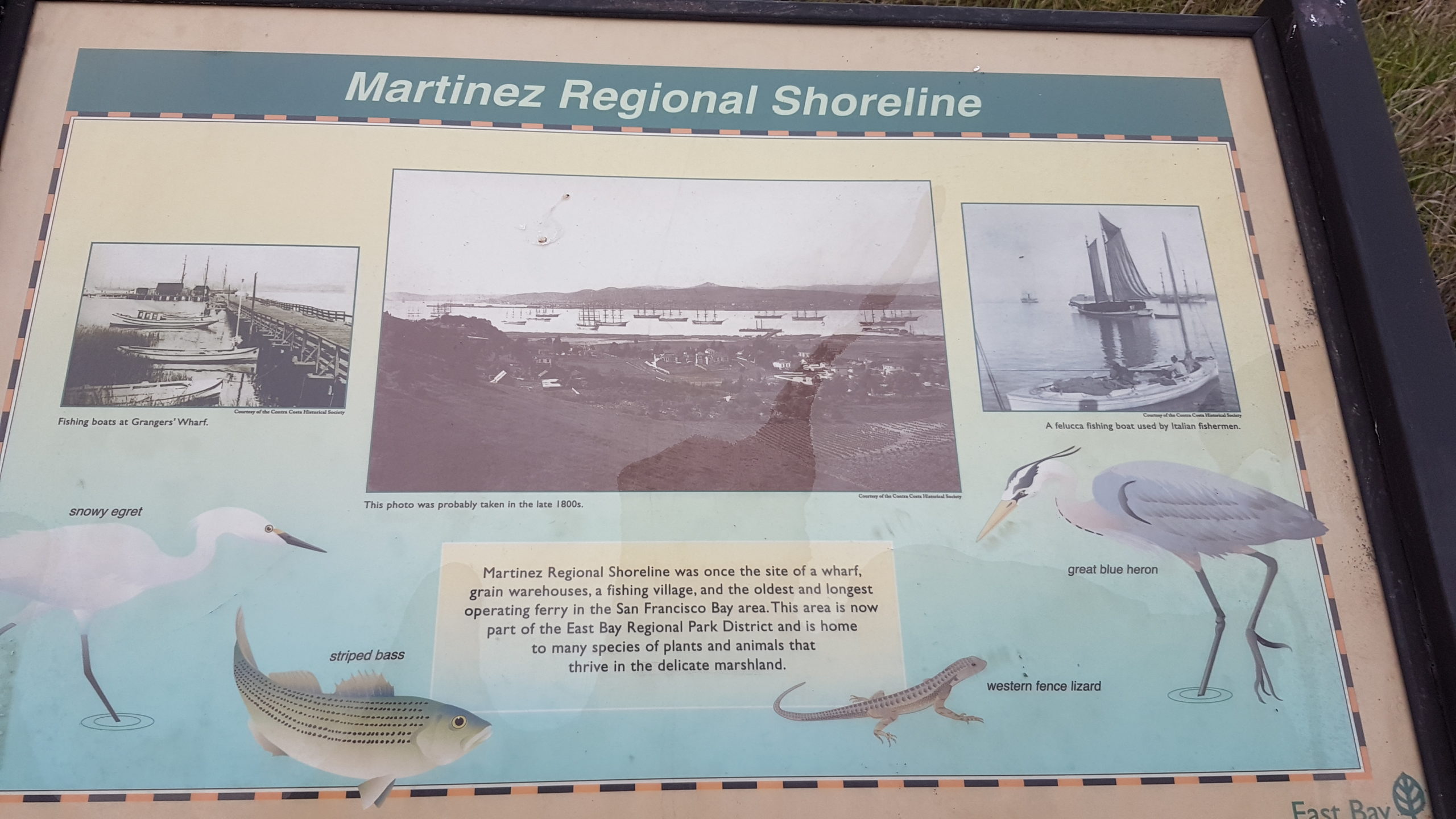 Martinez regional shoreline