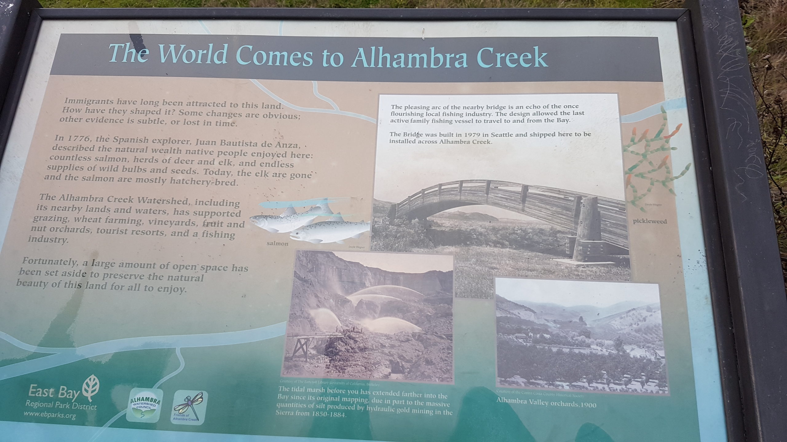 the world comes to alhambra creek
