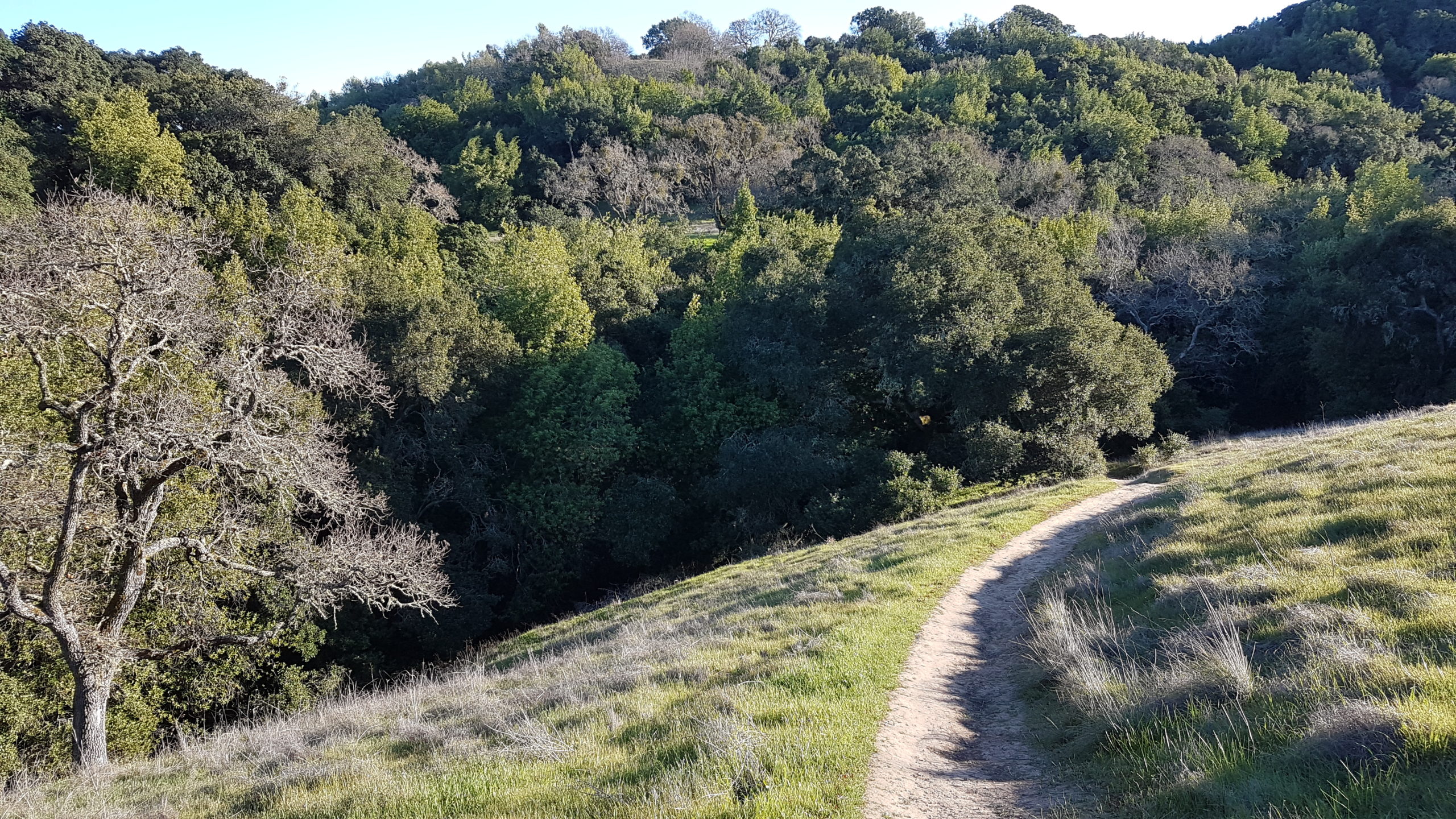 the preserve area trails pleasanton 8
