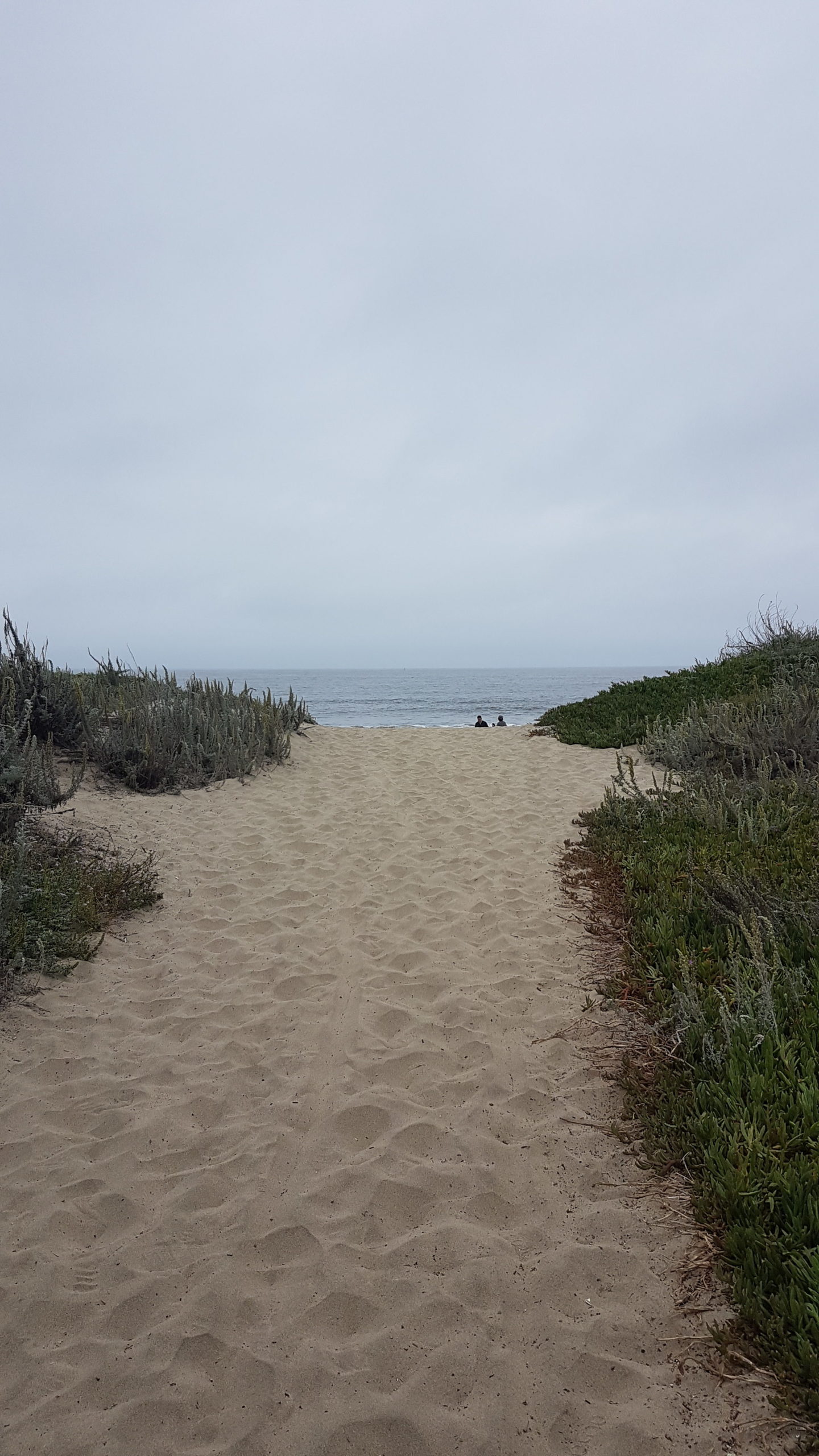 Petites dunes avant la plage.