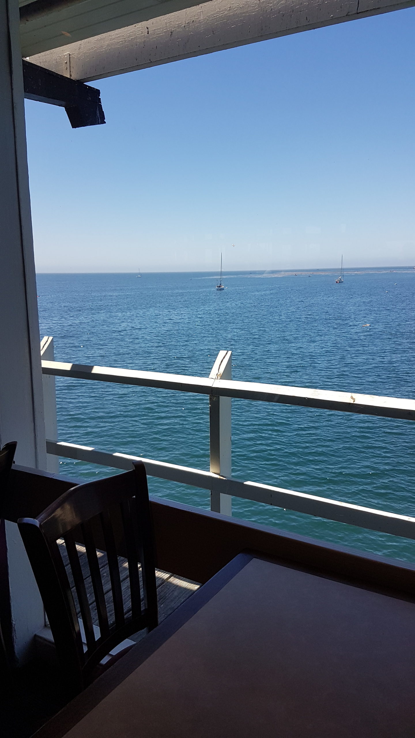 Notre restaurant, avec vue sur l'océan 😍.